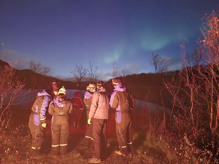 Tromsø: Northern Lights Tour in Glass Minibus with Dinner - What it’s like with kids and first-timers
