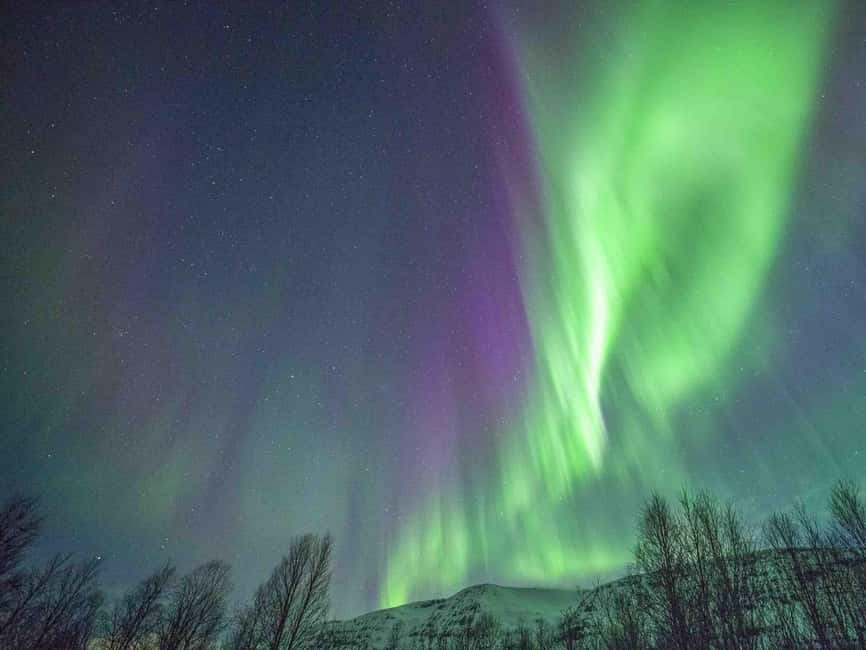 Tromsø: Northern Lights Tour in Glass Minibus with Dinner - Getting out of Tromsø: heated glass-roof minibus comfort