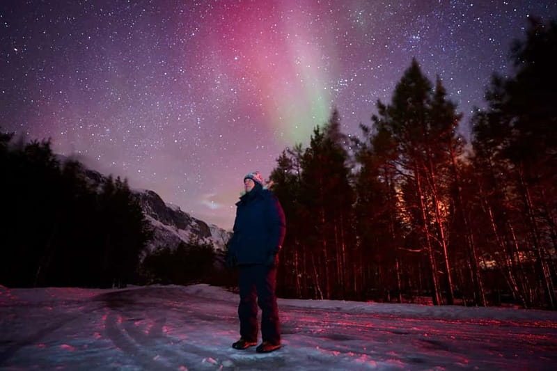 Tromsø: Northern Lights Tour (Max 8) Pickup + Finland - Key things I’d pay attention to before you book