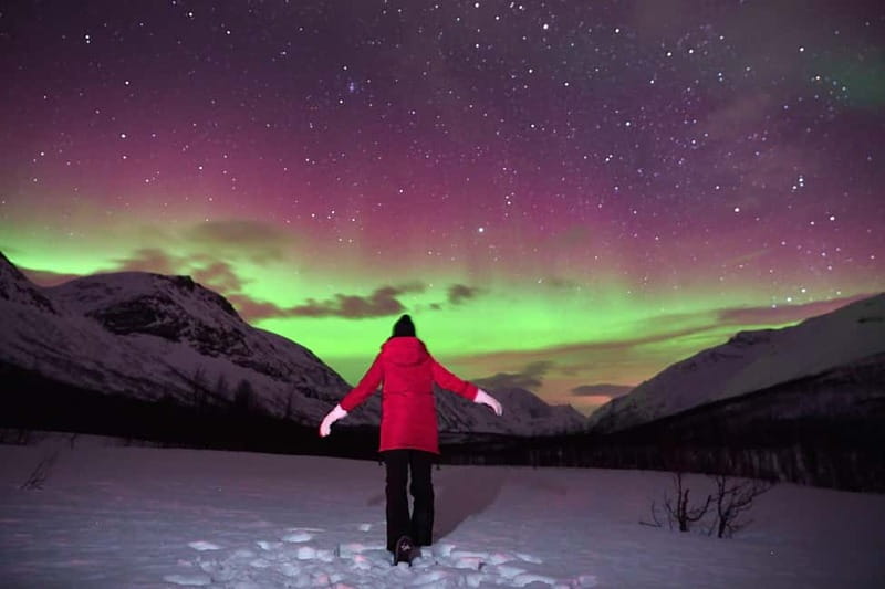 Tromsø: Northern Lights Tour (Max 8) Pickup + Finland - How the Forecast Determines Every Stop