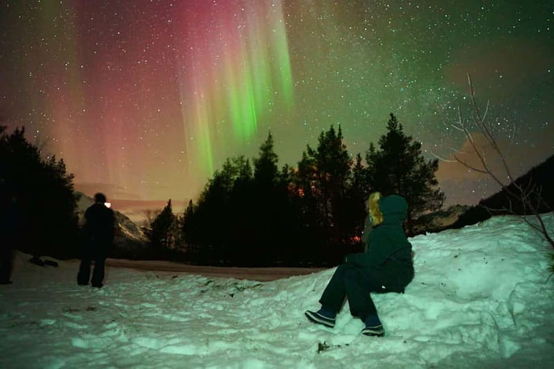 Tromsø: Northern Lights Tour (Max 8) Pickup + Finland - Small-Group Comfort in a Heated Mercedes Van