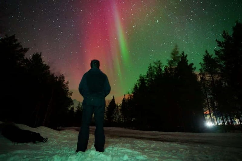 Tromsø: Northern Lights Tour (Max 8) Pickup + Finland - Gear Choices That Make the Cold Feel Manageable
