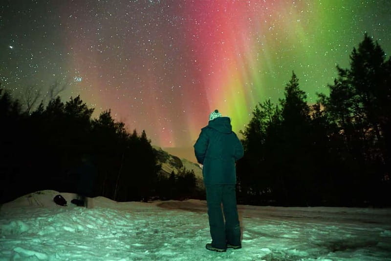 Tromsø: Northern Lights Tour (Max 8) Pickup + Finland - Safety First, and Why It Affects Your Odds