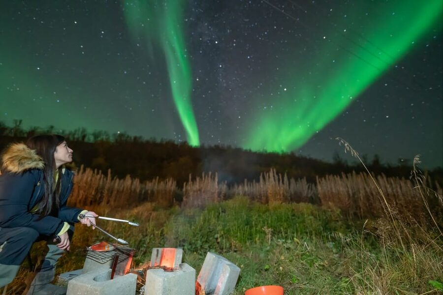 Tromsø: Northern Lights Tour w/Photo, Suits and Local Guide - Price and What Your Money Actually Buys