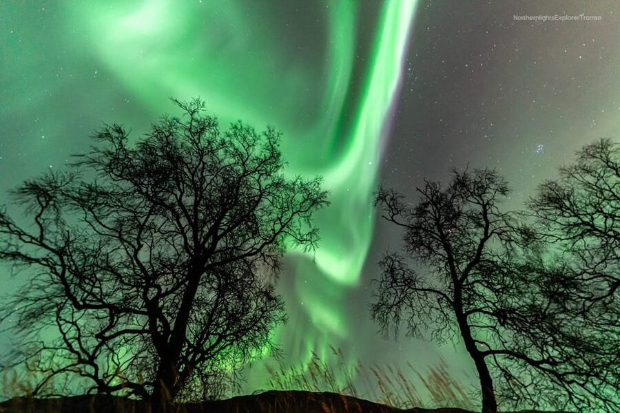 Tromsø: Northern Lights Tour w/Photo, Suits and Local Guide - The Real Aurora Strategy: What Happens If Tromsø Is Cloudy
