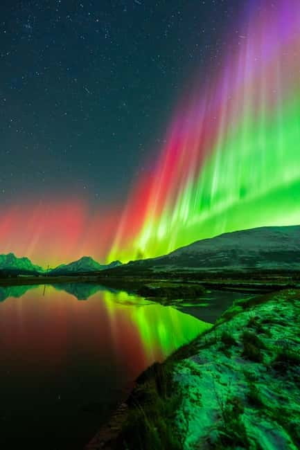 Tromsø: Northern Lights Tour with Campfire - Northern Lights plus Sámi storytelling, a cold-night combo that makes sense