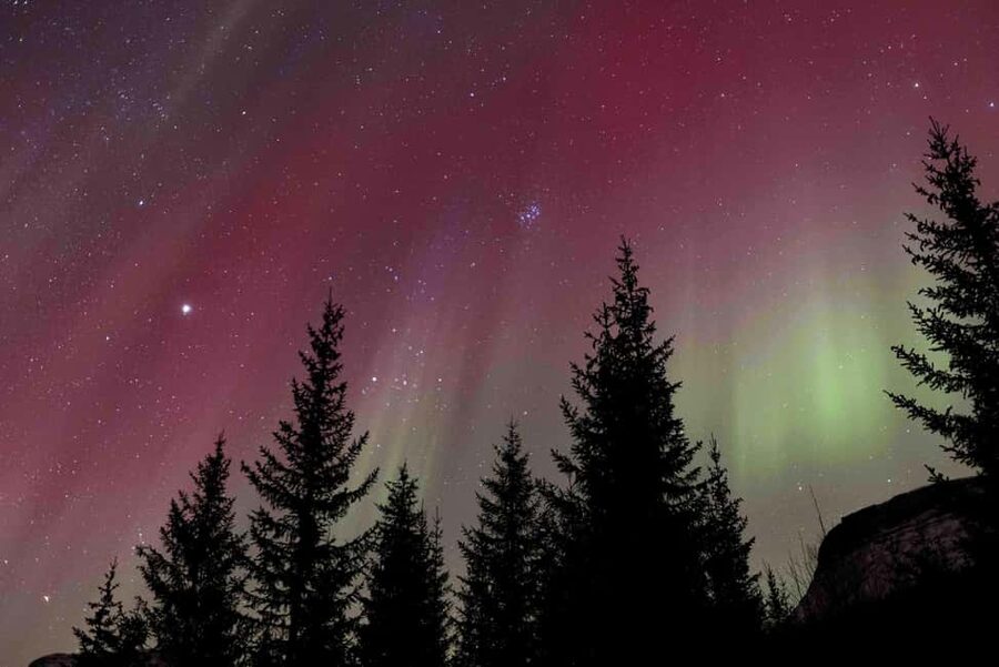 Tromsø: Northern Lights Tour with Dinner and Native Guide - Why Jørgen’s Northern Lights night feels different in Tromsø