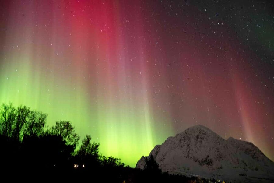 Tromsø: Northern Lights Tour with Dinner and Native Guide - Dinner, hot drinks, and the part of the night you will remember