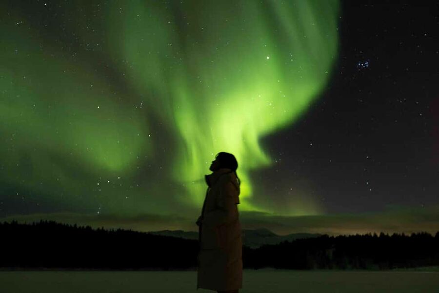 Tromsø: Northern Lights Tour with Dinner and Native Guide - Meeting point in Vestregata 51, and what to look for at 18:00