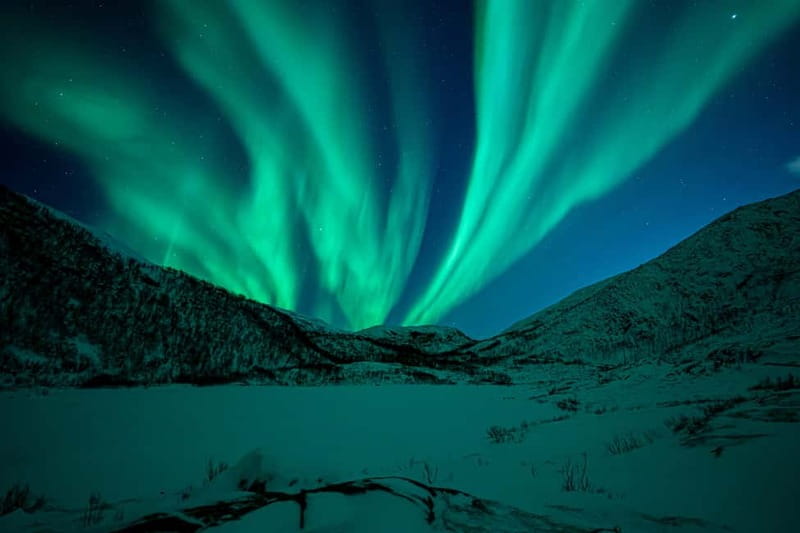 Tromsø: Northern Lights Tour with Hot Drinks and Snacks - Aurora Kino Pickup and Why a Minivan Works Better Than Big Buses