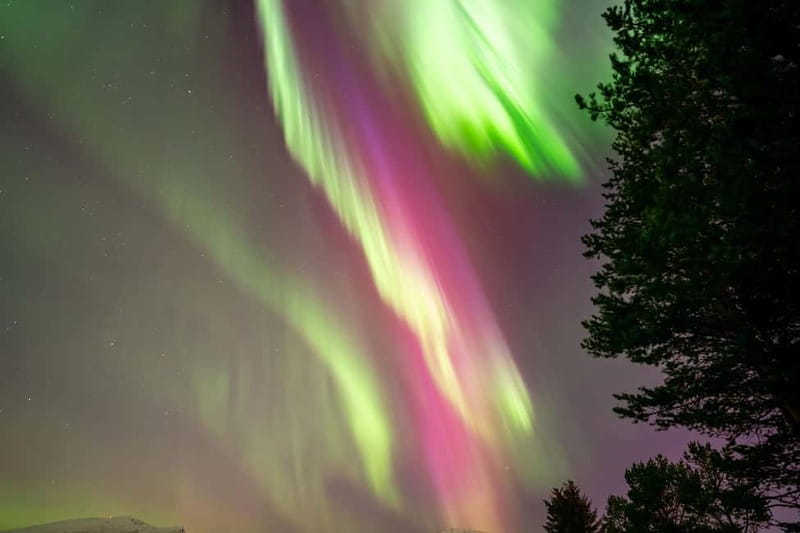 Tromsø: Northern Lights Tour with Hot Drinks and Snacks - The Drive Out of Tromsø, and the Real Skill Behind “Chasing”
