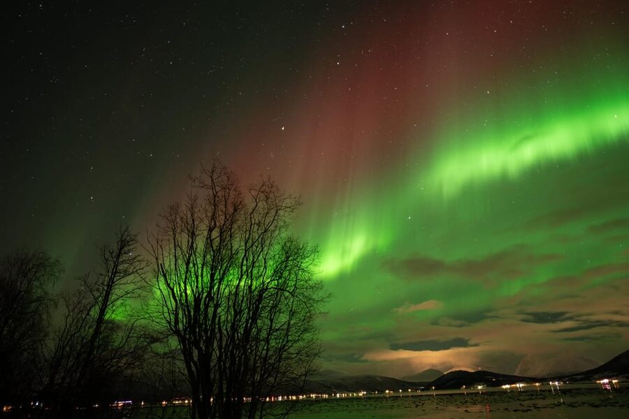 Tromsø: Northern Lights Tour with Local Guide and Photos - Price and Value: Why $162 Feels Fair Here