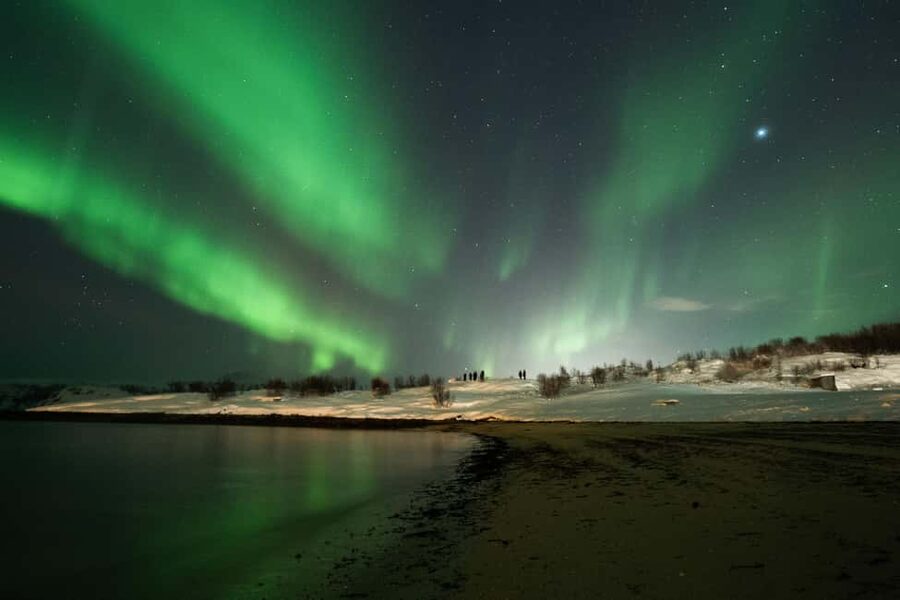 Tromsø: Northern Lights Tour with Local Stories & Photos - Price and Value: Is $100 Worth a Northern Lights Chase?