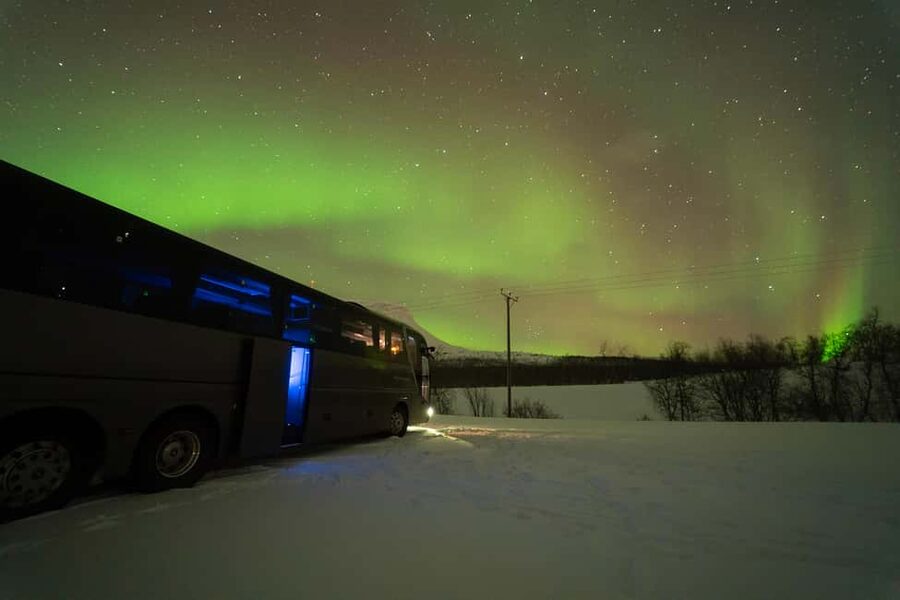 Tromsø: Northern Lights Tour with Local Stories & Photos - Should You Book This Northern Lights Bus Chase?