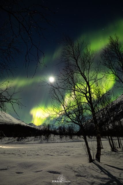Tromso: Northern Lights Tour with Photographer - Who This Tour Fits Best, and Who Should Skip It