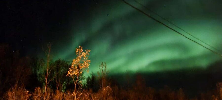 Tromsø: Northern Lights Tour with Photos & Snacks - From Grønnegata 94 to Arctic darkness: getting out of Tromsø’s city glow