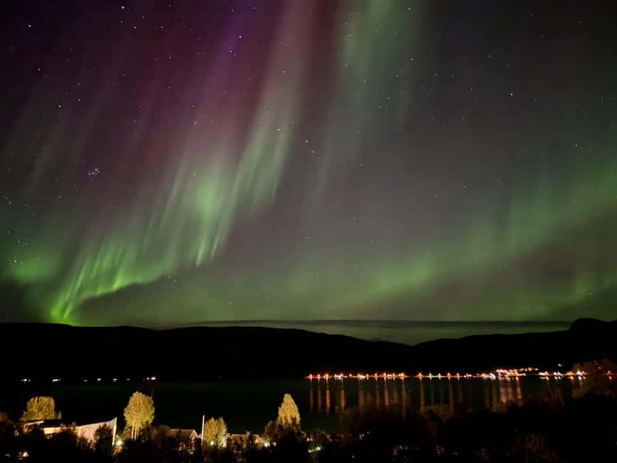 Tromsø: Northern Lights Tour with Photos & Snacks - Price and value: what $152 buys you in Tromsø winter