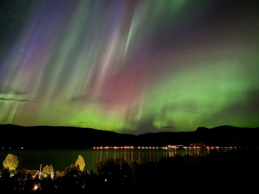 Tromsø: Northern Lights Tour with Photos & Snacks - Who this tour is best for (and who might want a different plan)