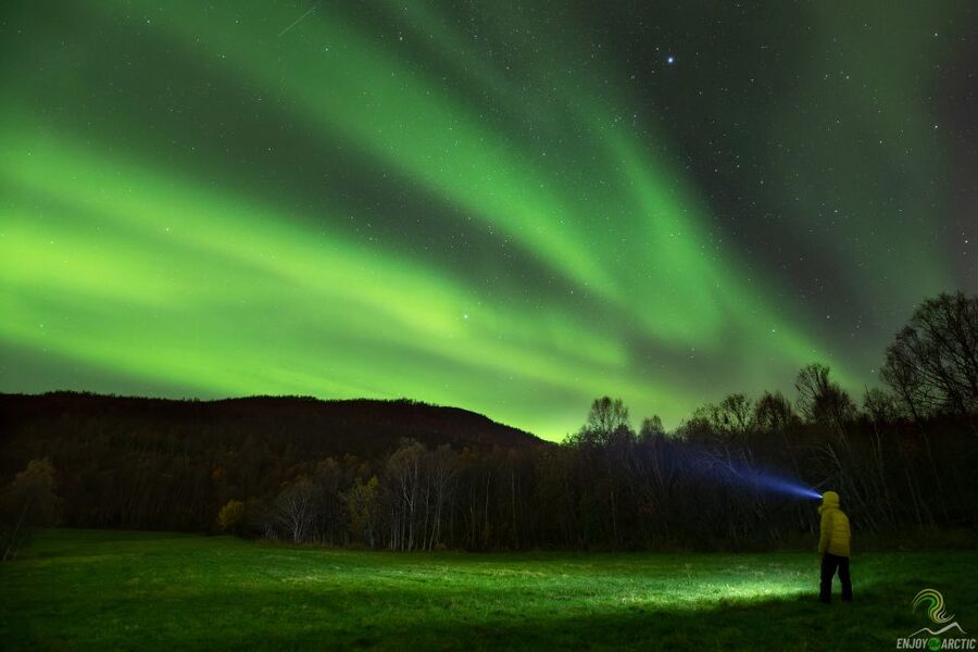 Tromsø: Northern Lights Trip with Campfire and Snacks - Magic Ice Bar Tromsø Meet-Up, then Out of City Light