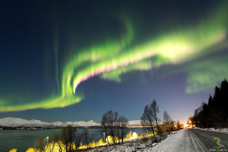 Tromsø: Northern Lights Trip with Campfire and Snacks - The Night Wilderness Moment: Lantern Time After Dark