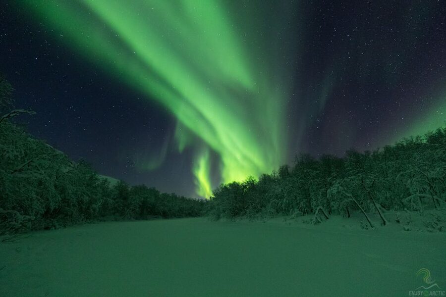 Tromsø: Northern Lights Trip with Campfire and Snacks - Who This Tour Fits Best