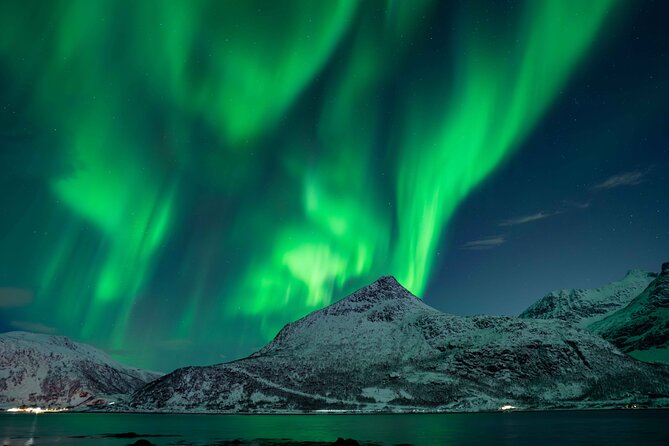 Tromsø Northern Lights with Campfire and Professional Photos - Campfire warmth, chai, and reindeer sausages during the wait
