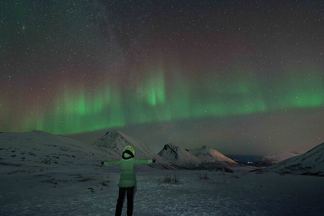 Tromsø Northern Lights with Campfire and Professional Photos - How the guides drive the hunt: Francisco and Alba as examples