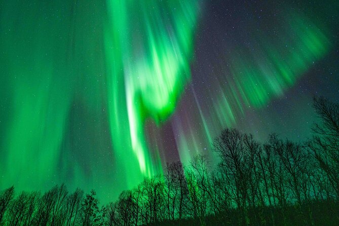 Tromsø Northern Lights with Campfire and Professional Photos - Weather reality check: why persistence pays off