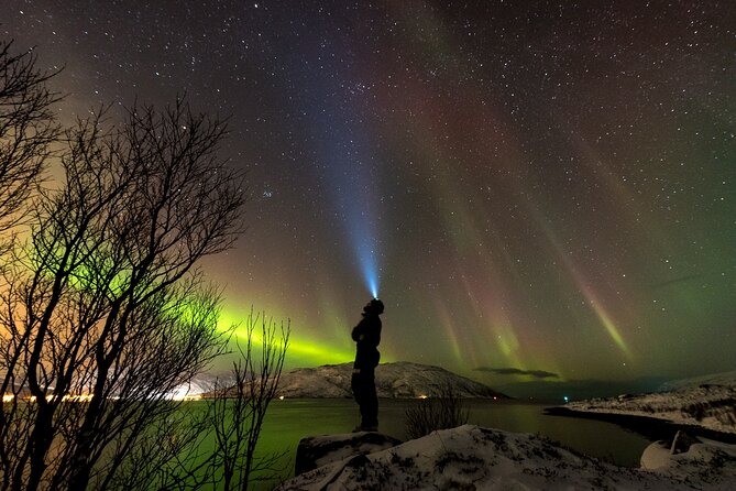 Tromsø Norway - Small Group Aurora Hunt Tour with a local guide - Key highlights for your Tromsø northern lights hunt