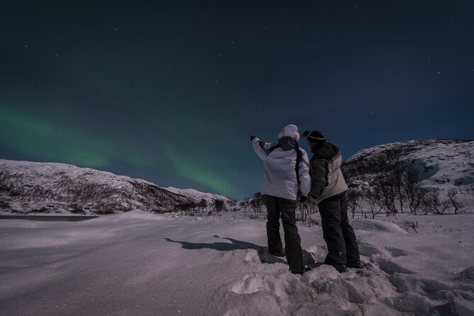 Tromsø Norway - Small Group Aurora Hunt Tour with a local guide - Warm snacks, hot stew, and waiting comfort during the hunt