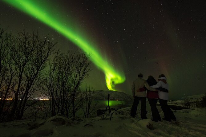 Tromsø Norway - Small Group Aurora Hunt Tour with a local guide - Who this aurora hunt suits best