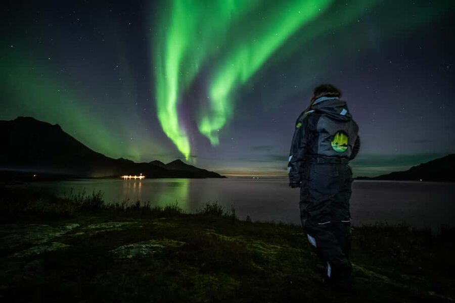 Tromsø: Premium Northern Lights Tour Small Group 8 Guests - Price and Value at About $209 per Person