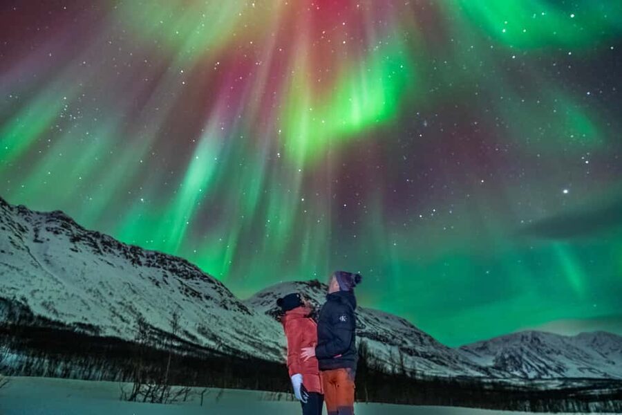 Tromsø: Premium Northern Lights Tour Small Group 8 Guests - Photo Coaching and the Unlimited Pro Picture Promise
