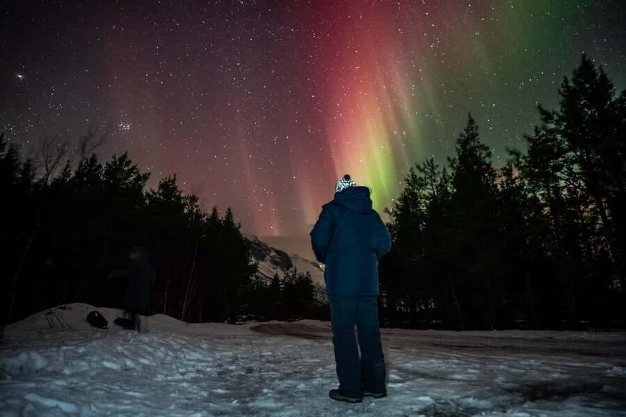 Tromsø: Premium Northern Lights Tour Small Group 8 Guests - Real-Time Decisions, Moving Targets, and the Timing of the Night