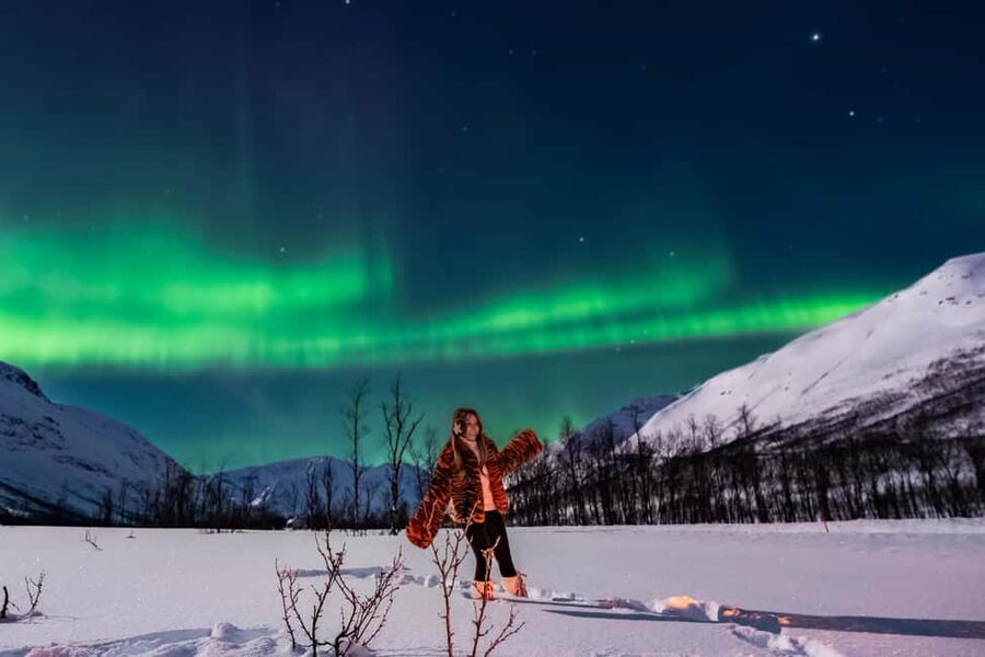 Tromsø: Premium Northern Lights Tour Small Group 8 Guests - Pickup in Tromsø, Then the Forecast-Driven Departure