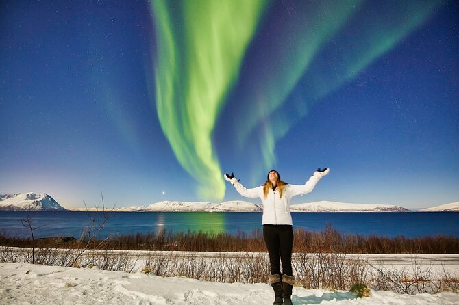 Tromso: Private Aurora Chase by Minivan - Key Things That Make This Aurora Chase Work