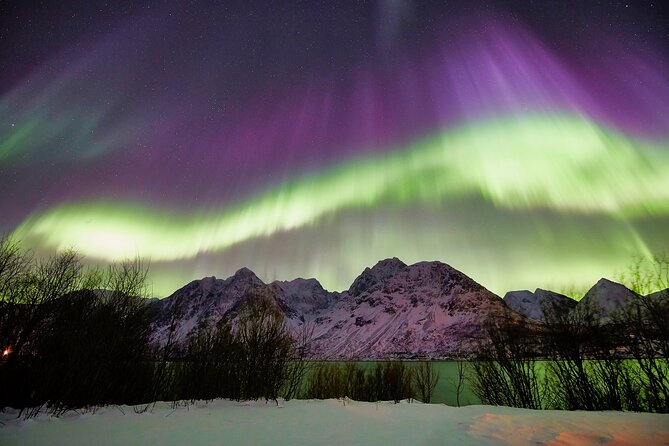 Tromso: Private Aurora Chase by Minivan - Private Minivan Aurora Chasing in Tromso, Up to 8 People
