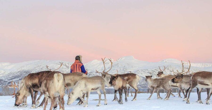 Tromsø: Reindeer Camp and Sami Cultural Tour with Lunch - Tromsø Pickup, Coach Ride, and the Scenic Build-Up