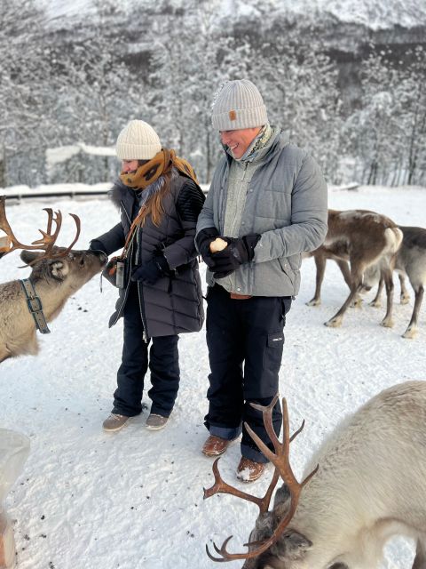 Tromsø: Reindeer Experience at a Sami Camp - Finding the right minibus outside Magic Ice Bar