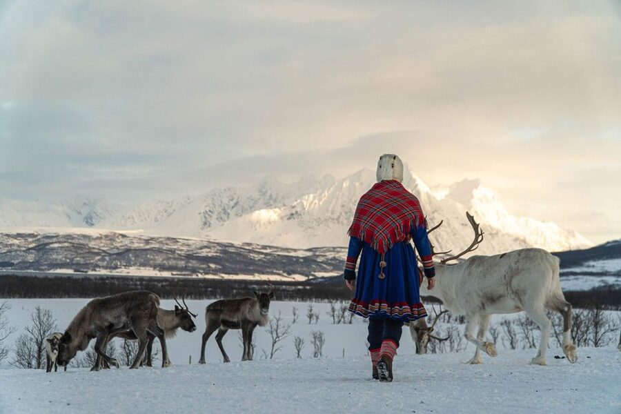 Tromsø: Reindeer Feeding and Sami Cultural Experience - Tromsø reindeer and Sami culture: what the day actually feels like
