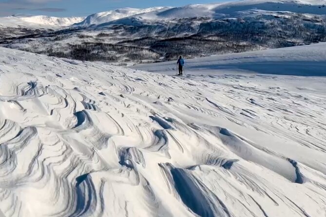 Tromso: Reindeer Feeding and Snowshoeing Tour with Lunch - Key moments that make this tour click