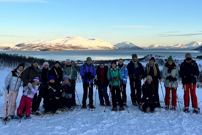 Tromso: Reindeer Feeding and Snowshoeing Tour with Lunch - Tromsø in winter: why this tour makes a smart half-day plan