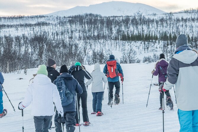 Tromso: Reindeer Feeding and Snowshoeing Tour with Lunch - Who should book this tour, and who might not