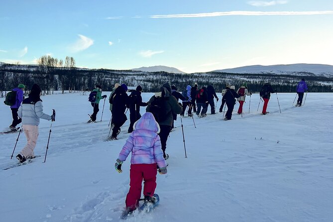 Tromso: Reindeer Feeding and Snowshoeing Tour with Lunch - Reindeer feeding at the farm: calm, respectful, and genuinely fun