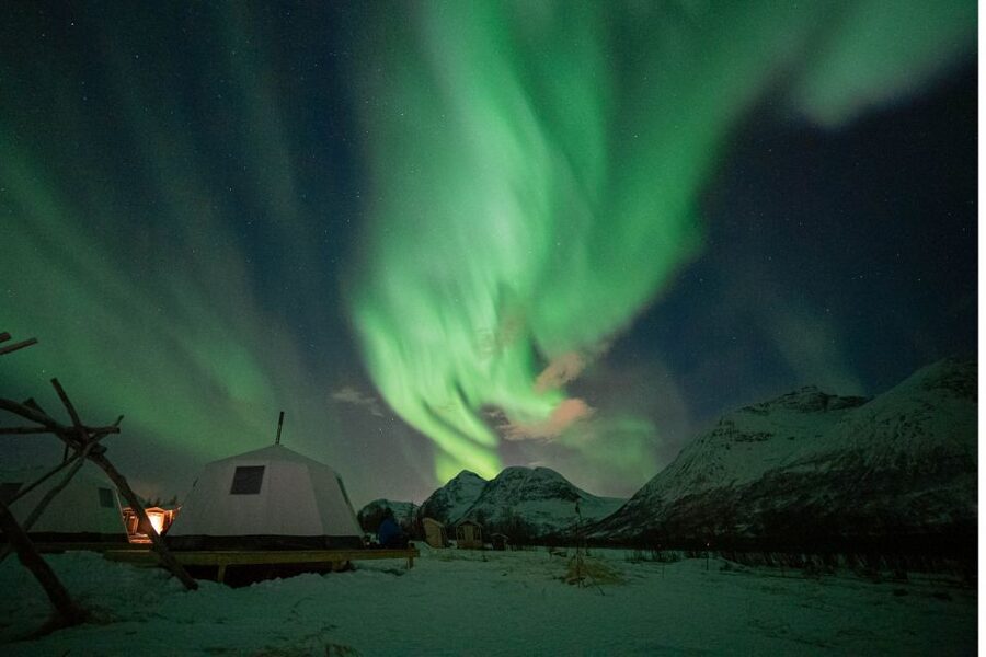 Tromsø: Reindeer Feeding & Chance of Northern Lights Viewing - Reindeer Feeding: Close-Up, Friendly, and Worth the Chill