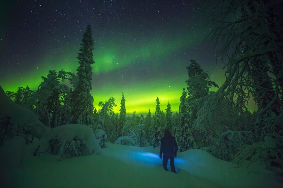 Tromsø: Reindeer Sled, Dinner, and Chance of Northern Lights - Sami Dinner by Open Fire: Bidos, Portions, and Comfort