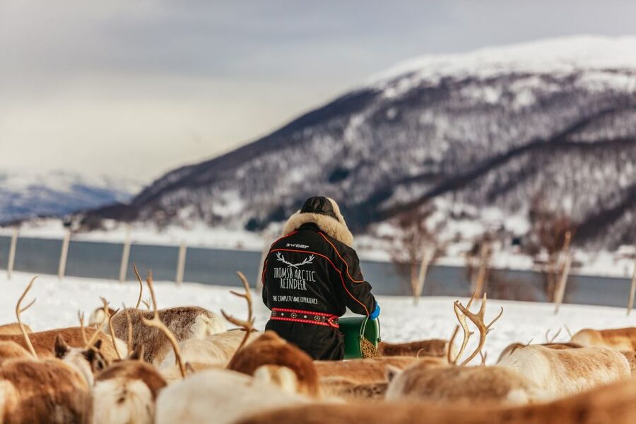 Tromsø: Reindeer Sledding & Feeding with a Sami Guide - Outfit tips that actually change your comfort level