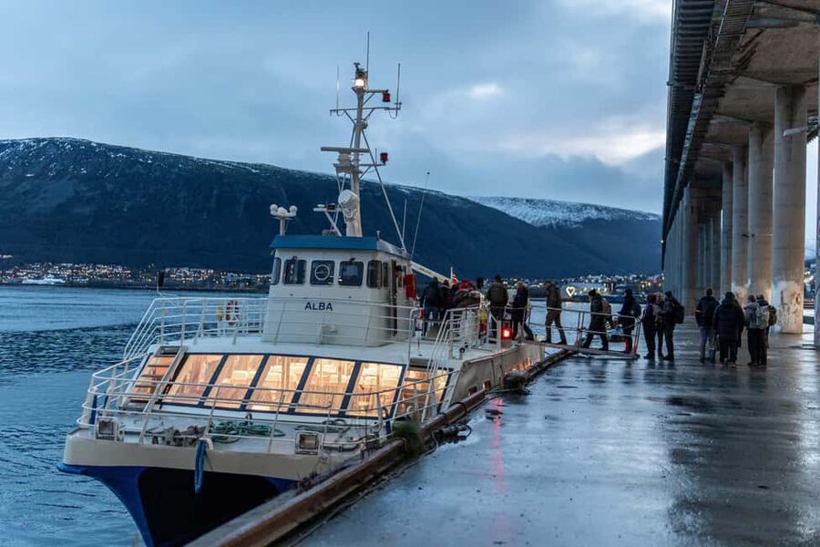 Tromsø: Responsible Whale Watching Cruise Aboard MS Alba - Tromsø winter whale watching: the cold, the drama, and the payoff
