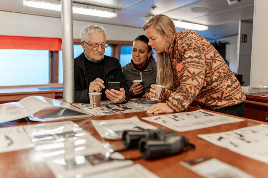 Tromsø: Responsible Whale Watching Cruise Aboard MS Alba - Seeing orcas and humpbacks: your odds, your mindset, and the responsible way