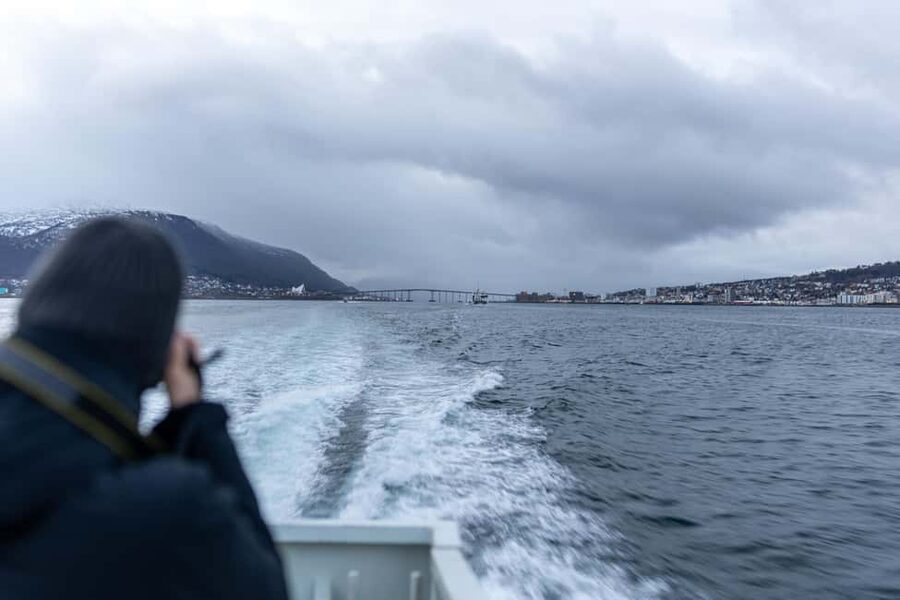 Tromsø: Responsible Whale Watching Cruise Aboard MS Alba - Getting there: the simple logistics that prevent stress